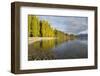 View along the shore of tranquil Lake Wanaka, autumn, Roys Bay, Wanaka, Queenstown-Lakes district, -Ruth Tomlinson-Framed Photographic Print