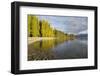 View along the shore of tranquil Lake Wanaka, autumn, Roys Bay, Wanaka, Queenstown-Lakes district, -Ruth Tomlinson-Framed Photographic Print
