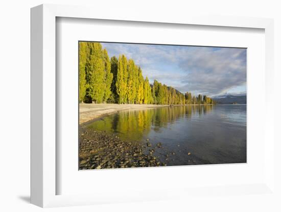 View along the shore of tranquil Lake Wanaka, autumn, Roys Bay, Wanaka, Queenstown-Lakes district, -Ruth Tomlinson-Framed Photographic Print