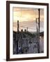 View Along Traditional Cobbled Street at Sunset, Trinidad, Cuba, West Indies, Central America-Lee Frost-Framed Photographic Print