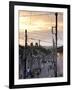 View Along Traditional Cobbled Street at Sunset, Trinidad, Cuba, West Indies, Central America-Lee Frost-Framed Photographic Print