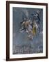 View and Map of Toledo-El Greco-Framed Giclee Print