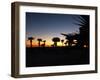 View at Pensacola Beach, Florida. November 2014.-NicholasGeraldinePhotos-Framed Photographic Print