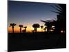 View at Pensacola Beach, Florida. November 2014.-NicholasGeraldinePhotos-Mounted Photographic Print