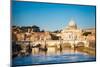 View at Tiber and St. Peter's Cathedral in Rome, Italy-S Borisov-Mounted Photographic Print