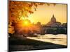 View at Tiber and St. Peter's Cathedral in Rome-S Borisov-Mounted Photographic Print