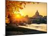 View at Tiber and St. Peter's Cathedral in Rome-S Borisov-Mounted Photographic Print