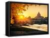 View at Tiber and St. Peter's Cathedral in Rome-S Borisov-Framed Stretched Canvas