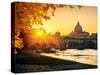 View at Tiber and St. Peter's Cathedral in Rome-S Borisov-Stretched Canvas