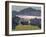 View Capolago, Blick Auf Den Über Capolago Silsersee-Giovanni Giacometti-Framed Giclee Print