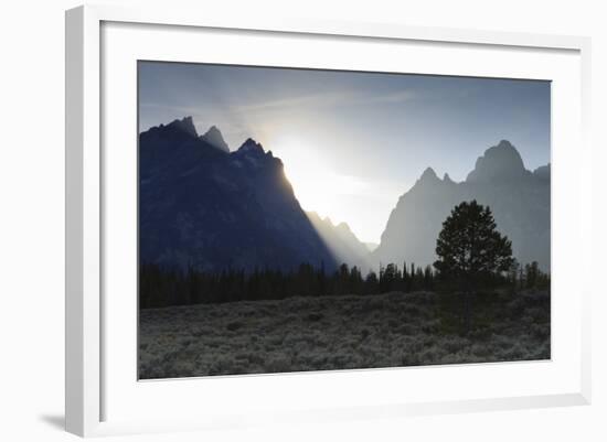 View Down Cascade Canyon with Backlit Teton Range-Eleanor-Framed Photographic Print