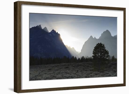 View Down Cascade Canyon with Backlit Teton Range-Eleanor-Framed Photographic Print