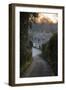 View Down Lane to Arlington Row Cotswold Stone Cottages at Dawn, Bibury, Cotswolds-Stuart Black-Framed Photographic Print