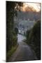 View Down Lane to Arlington Row Cotswold Stone Cottages at Dawn, Bibury, Cotswolds-Stuart Black-Mounted Photographic Print