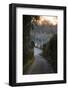 View Down Lane to Arlington Row Cotswold Stone Cottages at Dawn, Bibury, Cotswolds-Stuart Black-Framed Photographic Print