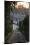 View Down Lane to Arlington Row Cotswold Stone Cottages at Dawn, Bibury, Cotswolds-Stuart Black-Mounted Photographic Print