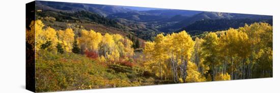 View Down Nebo Creek Drainage, Wasatch Mountains, Uinta National Forest, Utah, USA-Scott T^ Smith-Stretched Canvas