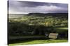 View Down the Valley of Swaledale Taken from Just Outside Reeth-John Woodworth-Stretched Canvas