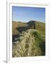 View East to Kings Hill, Hadrians Wall, UNESCO World Heritage Site, Northumbria National Park, Nort-James Emmerson-Framed Photographic Print