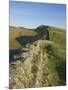 View East to Kings Hill, Hadrians Wall, UNESCO World Heritage Site, Northumbria National Park, Nort-James Emmerson-Mounted Photographic Print