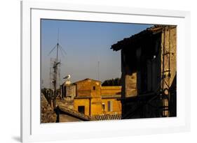 View from a Hotel, Rome, Italy-Françoise Gaujour-Framed Photographic Print