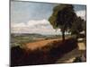 View from a Road Leading to East Bergholt-John Constable-Mounted Giclee Print