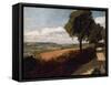 View from a Road Leading to East Bergholt-John Constable-Framed Stretched Canvas