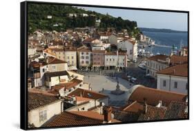 View from above of the Tartini Square, Piran, Slovenia, Europe-Sergio Pitamitz-Framed Stretched Canvas