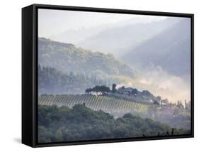 View from above of Tuscan Villa and Vineyard on a Foggy Morning-Terry Eggers-Framed Stretched Canvas