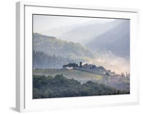 View from above of Tuscan Villa and Vineyard on a Foggy Morning-Terry Eggers-Framed Photographic Print