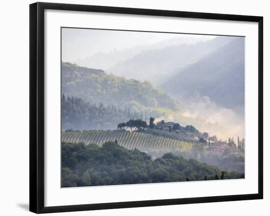 View from above of Tuscan Villa and Vineyard on a Foggy Morning-Terry Eggers-Framed Photographic Print