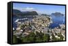 View from Aksla Hill over Alesund, More Og Romsdal, Norway, Scandinavia, Europe-Eleanor-Framed Stretched Canvas