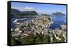 View from Aksla Hill over Alesund, More Og Romsdal, Norway, Scandinavia, Europe-Eleanor-Framed Stretched Canvas