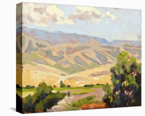 View from Amavi-Todd Telander-Stretched Canvas