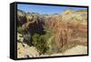View from Angels Landing, Zion National Park, Utah, United States of America, North America-Gary-Framed Stretched Canvas