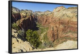 View from Angels Landing, Zion National Park, Utah, United States of America, North America-Gary-Framed Photographic Print