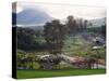 View from Arenal Vista Lodge, Alajuela, Costa Rica-Charles Sleicher-Stretched Canvas