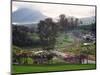 View from Arenal Vista Lodge, Alajuela, Costa Rica-Charles Sleicher-Mounted Photographic Print