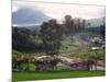 View from Arenal Vista Lodge, Alajuela, Costa Rica-Charles Sleicher-Mounted Photographic Print