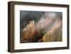 View from Artist Point at sunrise, Grand Canyon of Yellowstone, Yellowstone National Park.-Adam Jones-Framed Photographic Print