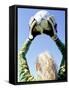 View from Behind of a Girl Holding a Soccer Ball-Steve Cicero-Framed Stretched Canvas