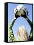 View from Behind of a Girl Holding a Soccer Ball-Steve Cicero-Framed Stretched Canvas
