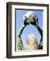 View from Behind of a Girl Holding a Soccer Ball-Steve Cicero-Framed Photographic Print