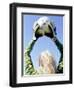 View from Behind of a Girl Holding a Soccer Ball-Steve Cicero-Framed Photographic Print