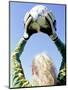 View from Behind of a Girl Holding a Soccer Ball-Steve Cicero-Mounted Photographic Print