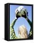 View from Behind of a Girl Holding a Soccer Ball-Steve Cicero-Framed Stretched Canvas