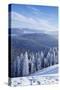 View from Belchen Mountain to Feldberg Mountain in Winter, Black Forest, Baden-Wurttemberg, Germany-Markus Lange-Stretched Canvas