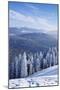 View from Belchen Mountain to Feldberg Mountain in Winter, Black Forest, Baden-Wurttemberg, Germany-Markus Lange-Mounted Photographic Print