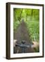 View from Bicycle Along Wooded Track, Uley, Gloucestershire, England-Peter Adams-Framed Photographic Print