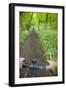 View from Bicycle Along Wooded Track, Uley, Gloucestershire, England-Peter Adams-Framed Photographic Print